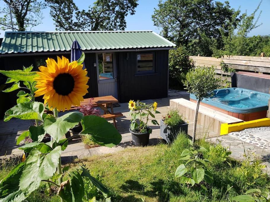 The Old Potting Shed With Hot Tub. Colan, Newquay. Newquay (Cornwall)